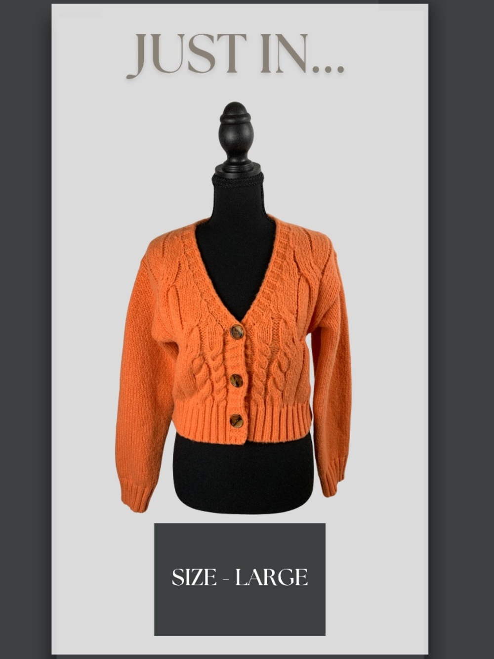 CIDER Chunky Cable Knit V-Neck Cropped Cardigan Muted Orange L Fall Cottagecore